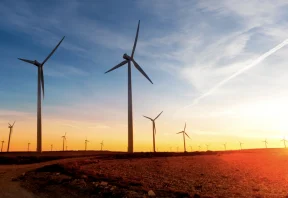 Bye coal hi renewables