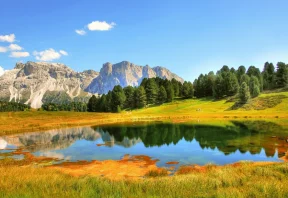 sustainability is beautiful