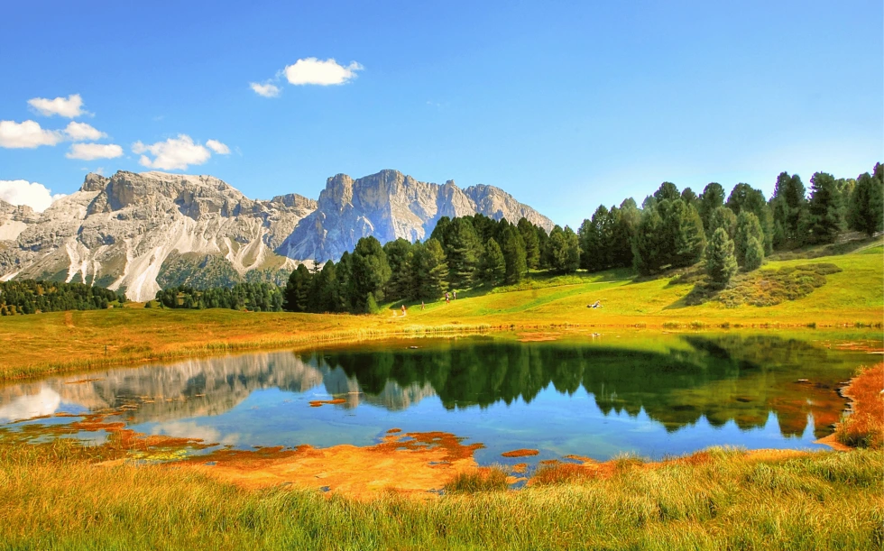 sustainability is beautiful