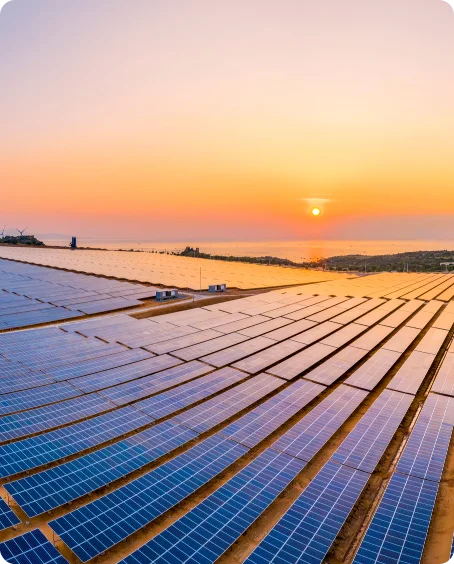 Sunset shining on solar panels